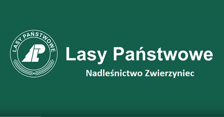 Organizacja nadleśnictwa