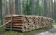 UWAGA - okresowy zakaz wstępu do lasu.