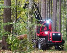 Przetarg - Wykonywanie usług leśnych na terenie Nadleśnictwa Zwierzyniec w roku 2017