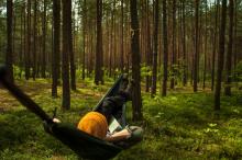 Zanocuj w lesie – Nadleśnictwo Zwierzyniec