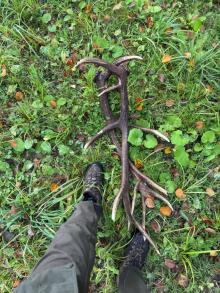 Akcja „Wieniec” 2026 - ogólnopolskie działania Straży Leśnej